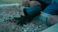 Задник до фильму"" #805598