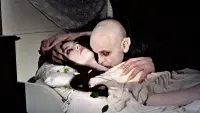 Задник до фильму"Носферату: Привид ночі" #756973