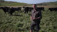 Задник до фильму"" #729959