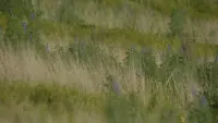 Задник до фильму"" #775586