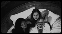 Задник до фильму"" #805562