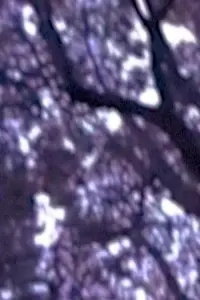 Постер до фильму"" #646615