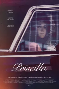 Постер до фильму"Прісцилла" #81487