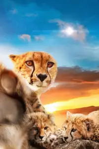 Постер до фильму"Одне життя" #1028222