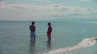Задник до фильму"" #776500