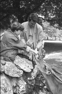 Постер до фильму"" #1201885