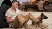 Задник до фильму"Дог" #888991
