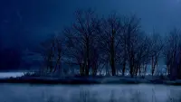 Задник до фильму"Вбивця" #508097