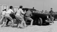 Задник до фильму"Солодке життя" #177784