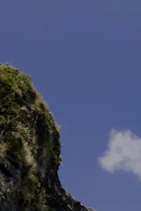 Постер до фильму"" #793077