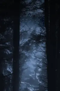 Постер до фильму"" #1102368