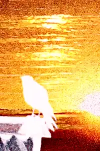 Постер до фильму"" #820814