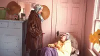 Задник до фильму"Сірі сади" #811292