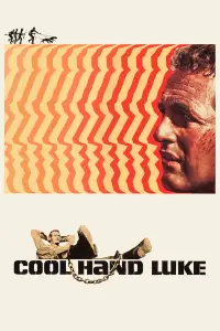 Постер до фильму"Холоднокровний Люк" #970046