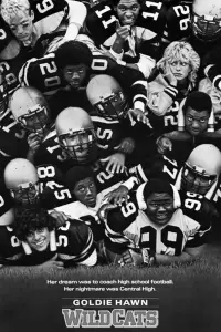 Постер до фильму"Дикі кішки" #1035472