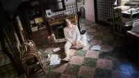 Задник до фильму"" #754348
