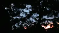Задник до фильму"" #608779