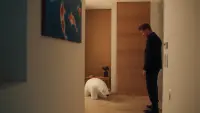 Задник до фильму"" #833339