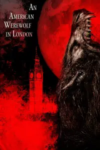 Постер до фильму"Американський перевертень у Лондоні" #936355