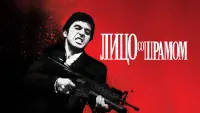 Задник до фильму"Обличчя зі шрамом" #724558