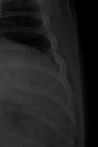 Постер до фильму"" #657988