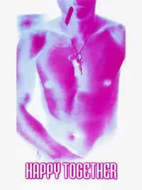 Постер до фильму"Щасливі разом" #1141983