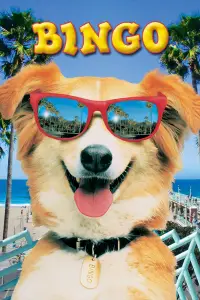 Постер до фильму"Бінго" #1088600