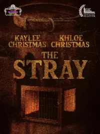 The Stray