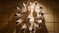 Задник до фильму"" #784974