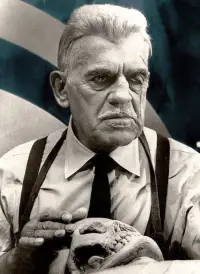 Постер до фильму"Франкенштейн 1970" #1085841