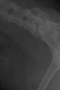 Постер до фильму"" #657901