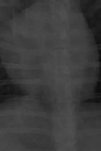 Постер до фильму"" #657984