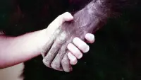 Задник до фильму"" #896967