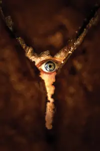 Постер до фильму"" #508968