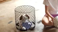 Задник до фильму"" #778917