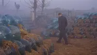 Задник до фильму"Червона пустеля" #729902