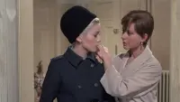 Задник до фильму"Денна красуня" #218465