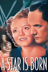 Постер до фильму"Зірка народилася" #993094