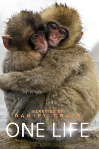 Постер до фильму"Одне життя" #1028221