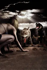 Постер до фильму"Зграя" #881019