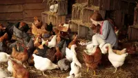 Задник до фильму"" #409702