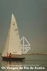 Vougas of the Ria de Aveiro