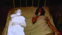 Задник до фильму"" #895364