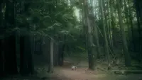 Задник до фильму"" #741969