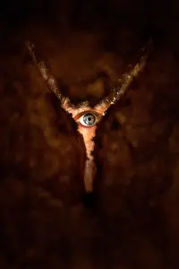 Постер до фильму"" #508970