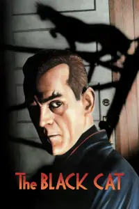 Постер до фильму"Чорний кіт" #979716