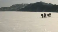 Задник до фильму"" #840104
