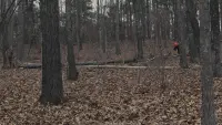 Задник до фильму"Полонянки" #739539