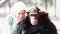 Задник до фильму"" #896961