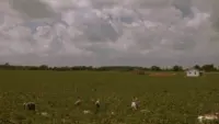 Задник до фильму"Переступити межу" #769998
